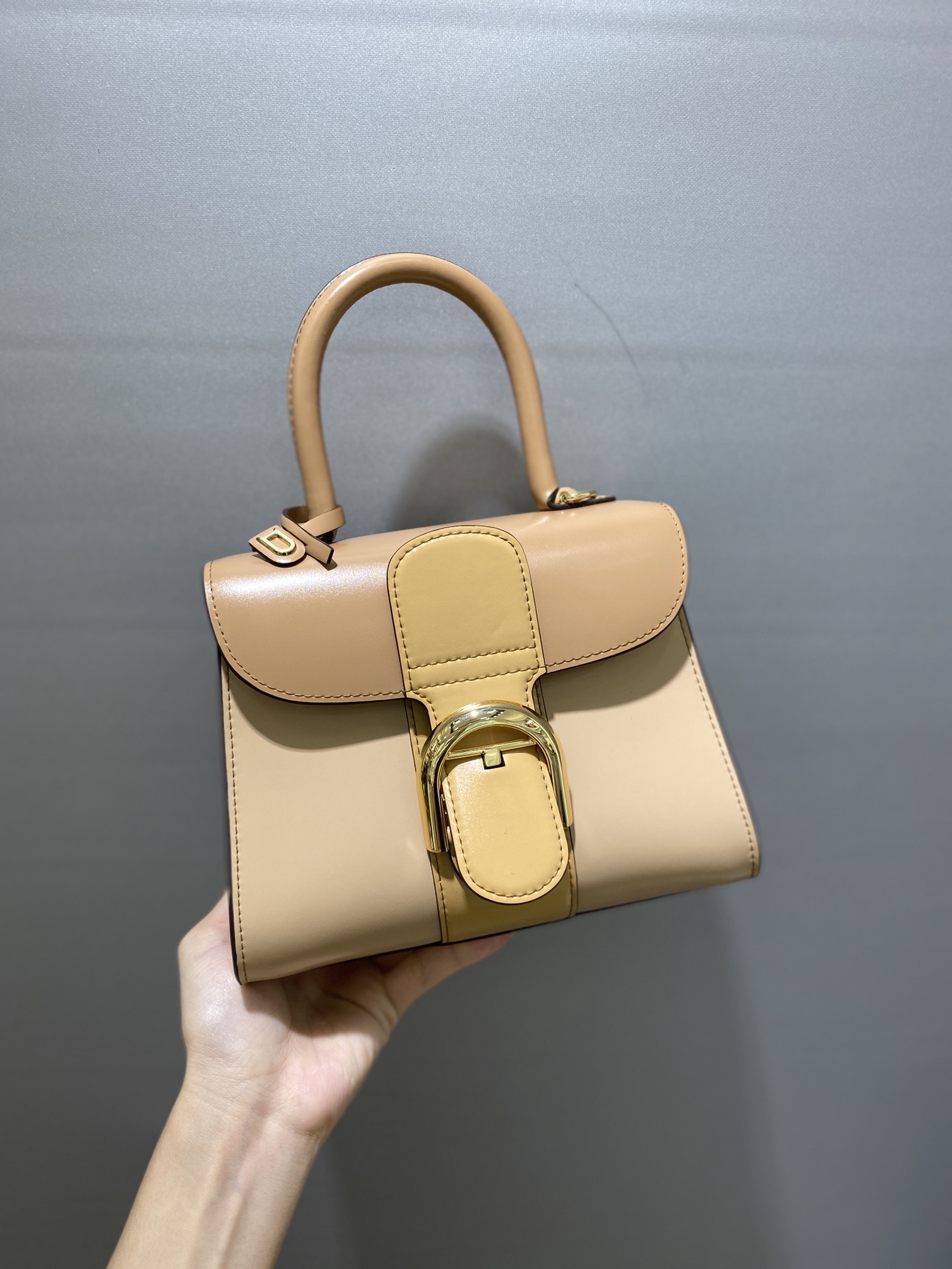 델보 브리앙 박스백 미니